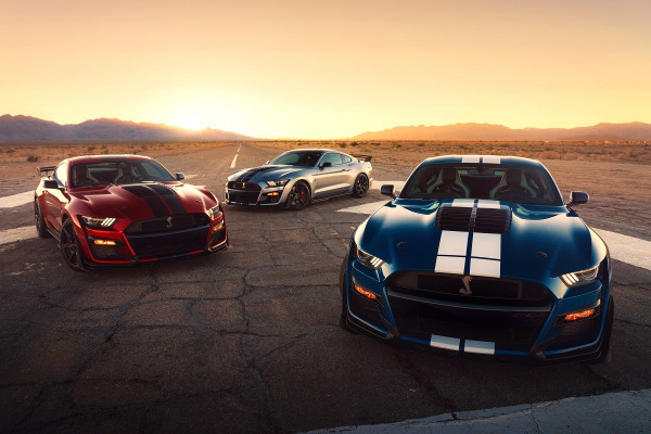 Shleby1.jpg Avec la nouvelle Mustang Shelby GT500, Ford dévoile la plus puissante des Ford jamais conçue pour la route