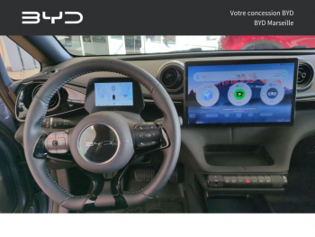 Photo 6 du bon plan BYD Dolphin DESIGN JET BLACK / ATLANTIS GREY occasion à 28990 €