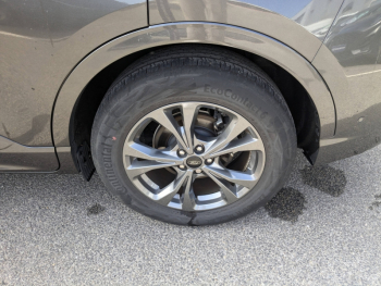 Photo 25 du bon plan FORD Kuga 2.5 Duratec 190ch FHEV E85 ST-Line Business BVA occasion à 27901 €