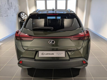 Photo 13 du bon plan LEXUS UX 250h Luxe 2WD occasion à 31900 €