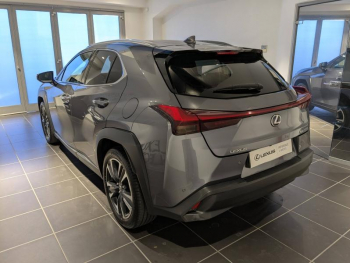 Photo 10 du bon plan LEXUS UX 250h 2WD Premium Edition MY21 occasion à 26500 €