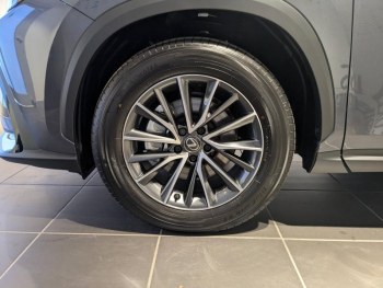 Photo 16 du bon plan LEXUS NX 350h Luxe 2WD MY24 occasion à 53900 €