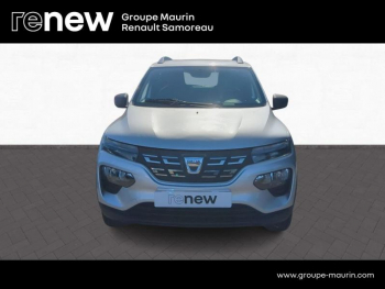 Photo 6 du bon plan DACIA Spring 45ch Business 2020 - Achat IntÃ©gral occasion à 8200 €