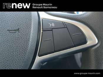 Photo 21 du bon plan DACIA Spring 45ch Business 2020 - Achat IntÃ©gral occasion à 8200 €