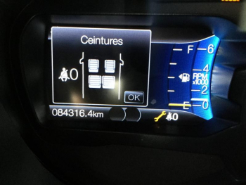 Photo 12 du bon plan FORD Ranger VUL 2.0 TDCi 213ch Super Cab Wildtrak occasion à 30900 €