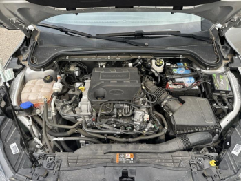 Photo 14 du bon plan FORD Focus 1.0 EcoBoost 125ch mHEV ST-Line occasion à 18590 €