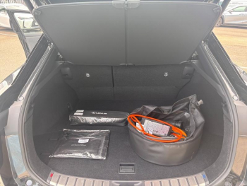 Photo 30 du bon plan LEXUS RZ 450e Luxe occasion à 48990 €