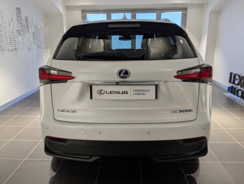 Photo 16 du bon plan LEXUS NX 300h 4WD Luxe occasion à 19900 €