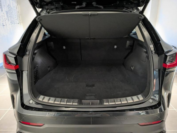 Photo 11 du bon plan LEXUS NX 350h Executive 4WD MY24 occasion à 55900 €