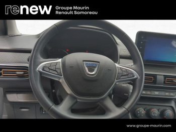 Photo 20 du bon plan DACIA Sandero 1.0 TCe 90ch Stepway Confort -22 occasion à 13400 €