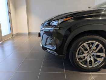 Photo 17 du bon plan LEXUS NX 300h 2WD Luxe Plus MY21 occasion à 33900 €