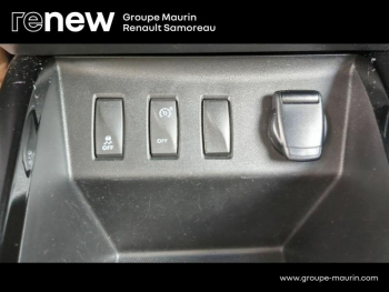 Photo 26 du bon plan DACIA Spring 45ch Business 2020 - Achat IntÃ©gral occasion à 7900 €