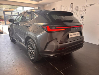 Photo 5 du bon plan LEXUS NX 450h+ Luxe 4WD occasion à 53990 €