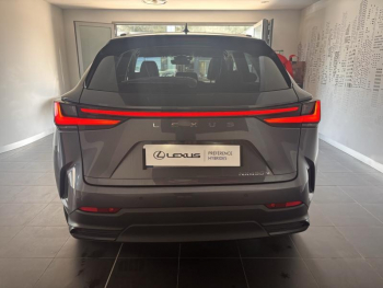 Photo 6 du bon plan LEXUS NX 450h+ Luxe 4WD occasion à 53990 €