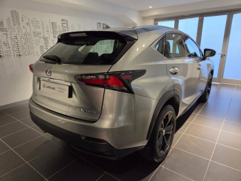Photo 16 du bon plan LEXUS NX 300h 2WD Sport Edition occasion à 28490 €