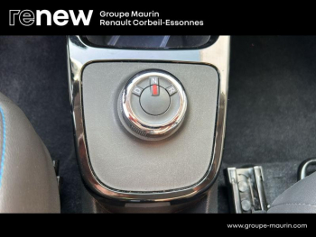 Photo 28 du bon plan DACIA Spring 45ch Business 2020 - Achat IntÃ©gral occasion à 7490 €