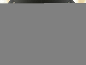 Photo 9 du bon plan LEXUS NX 450h+ Luxe 4WD occasion à 43990 €