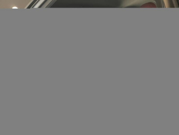 Photo 10 du bon plan LEXUS NX 450h+ Luxe 4WD occasion à 43990 €