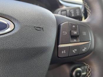 Photo 19 du bon plan FORD Puma 1.0 Flexifuel 125ch S&S mHEV Titanium Business occasion à 21490 €