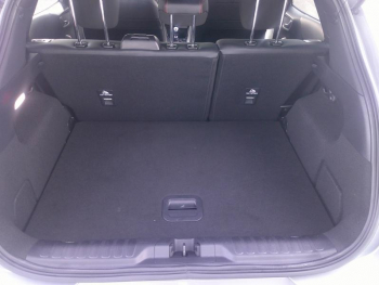 ddf-core-media-2Owvfy62782_23.jpg Photo 23 du bon plan FORD Puma 1.0 Flexifuel 125ch S&S mHEV ST-Line X occasion à 21900 €