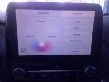 ddf-core-media-Am3zh062802_9.jpg Photo 9 du bon plan FORD Puma 1.0 EcoBoost 125ch S&S mHEV ST-Line Vignale Powershift occasion à 21900 €