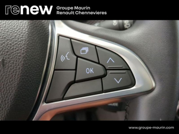 ddf-core-media-zqCS33560885_24.jpg Photo 24 du bon plan DACIA Sandero 1.0 TCe 90ch Stepway Confort -22 occasion à 16590 €