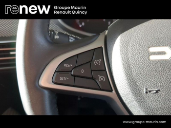 Photo 17 du bon plan DACIA Sandero 1.0 ECO-G 100ch Stepway Expression occasion à 13990 €