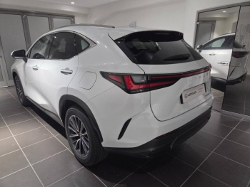 Photo 16 du bon plan LEXUS NX 350h 197ch Luxe 2WD MY26 occasion à 54900 €