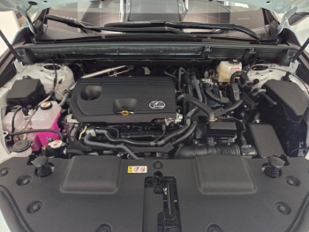 Photo 21 du bon plan LEXUS NX 350h 197ch Luxe 2WD MY26 occasion à 54900 €