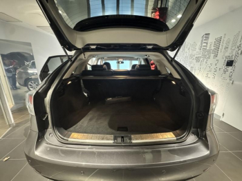 Photo 16 du bon plan LEXUS RX 450h 4WD Design occasion à 18490 €