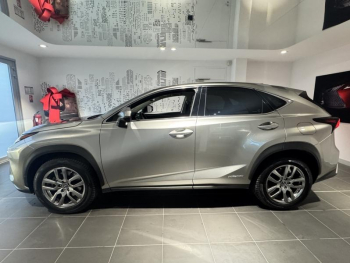 Photo 7 du bon plan LEXUS NX 300h 4WD Luxe  MY20 occasion à 29450 €