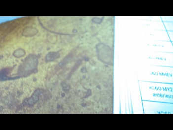 Photo 31 du bon plan VOLVO C40 Recharge 231ch Start occasion à 24900 €