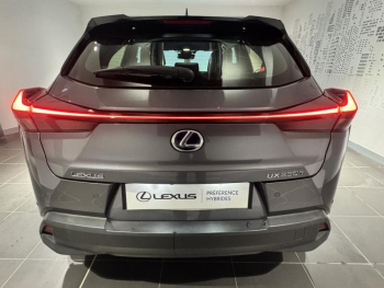 Photo 6 du bon plan LEXUS UX 250h 2WD Pack Business MY20 occasion à 21990 €