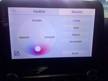 Photo 12 du bon plan FORD Puma 1.0 Flexifuel 125ch S&S mHEV ST-Line X occasion à 21590 €