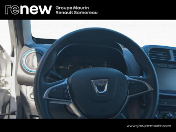 Photo 18 du bon plan DACIA Spring 45ch Business 2020 - Achat IntÃ©gral occasion à 6900 €