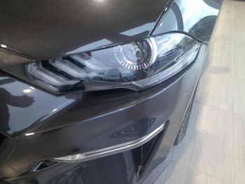 Photo 6 du bon plan FORD Mustang Fastback 5.0 V8 450ch GT BVA10 occasion à 56900 €