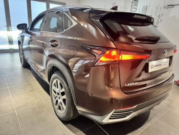 Photo 6 du bon plan LEXUS NX 300h 4WD Luxe  MY20 occasion à 28990 €