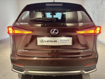 Photo 7 du bon plan LEXUS NX 300h 4WD Luxe  MY20 occasion à 28990 €