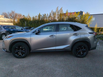 Photo 6 du bon plan LEXUS NX 300h 2WD Pack Business Euro6d-T occasion à 19890 €