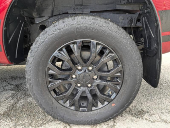 Photo 10 du bon plan FORD Ranger VUL 2.0 TDCi 213ch Double Cabine Stormtrak BVA10 occasion à 41963 €