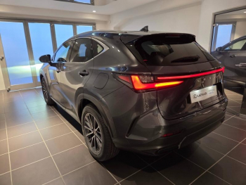 Photo 15 du bon plan LEXUS NX 450h+ 292ch Luxe 4WD MY26 occasion à 54900 €