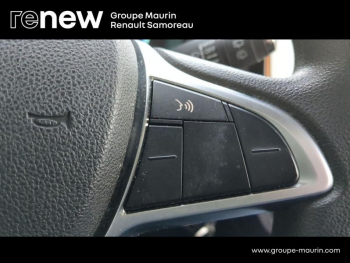 Photo 24 du bon plan DACIA Spring 45ch Confort Plus - Achat IntÃ©gral occasion à 7900 €