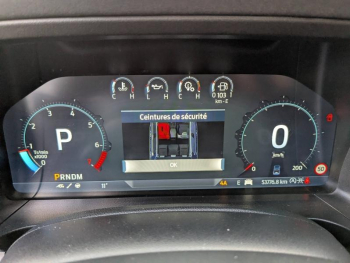 Photo 12 du bon plan FORD Ranger VUL 3.0 EcoBoost V6 292ch Stop&Start Double Cabine Raptor BVA10 occasion à 58490 €