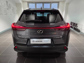 Photo 21 du bon plan LEXUS UX 300h Luxe 2WD occasion à 41600 €