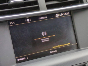 Photo 24 du bon plan DS DS 4 PureTech 130ch Sport Chic S&S occasion à 12990 €