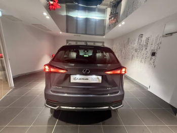 Photo 5 du bon plan LEXUS NX 300h 2WD Pack Business MY20 occasion à 27990 €