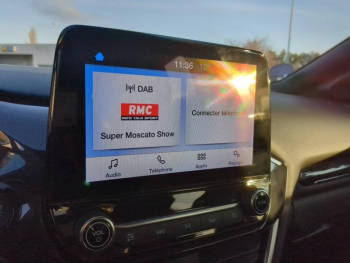 Photo 26 du bon plan FORD Puma 1.0 Flexifuel 125ch S&S mHEV ST-Line Design 3 occasion à 18990 €