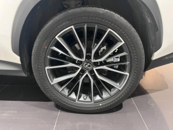 Photo 15 du bon plan LEXUS NX 350h Executive 4WD MY24 occasion à 45990 €