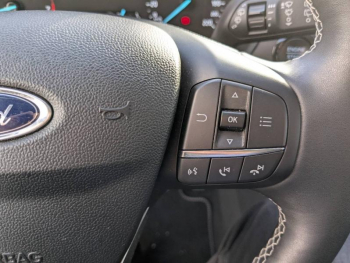 Photo 14 du bon plan FORD Puma 1.0 Flexifuel  125ch S&S mHEV Titanium X occasion à 18990 €