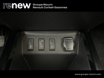 Photo 14 du bon plan DACIA Spring 45ch Business 2020 - Achat IntÃ©gral occasion à 7490 €